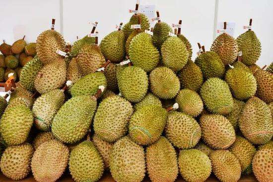 榴蓮進(jìn)口報(bào)關(guān)代理服務(wù)案例，泰國(guó)馬來(lái)西亞榴蓮如何清關(guān)?