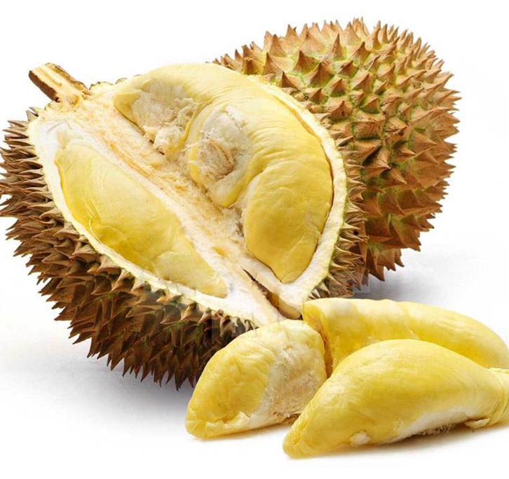馬來西亞冷凍榴蓮進口報關(guān)資料 馬來西亞冷凍榴蓮進口報關(guān)資料