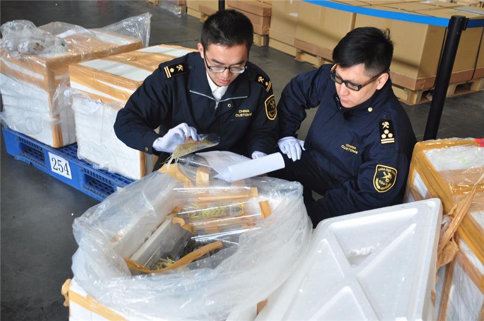 1547862643614390.jpg 個人進口