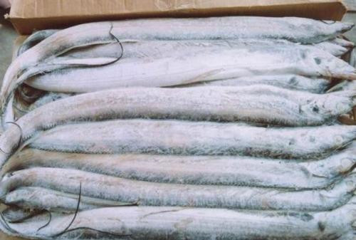 1572070409775753.jpg 冷凍水產(chǎn)品進口清關(guān)