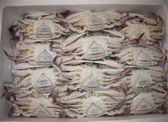 1577928659600228.jpg u=4013764527,3455873171&fm=26&gp=0_副本.jpg