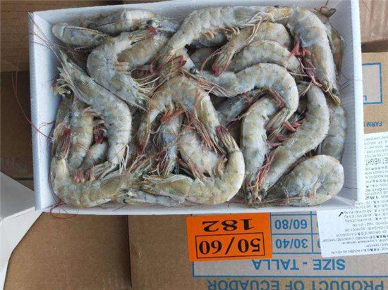 1584062820487858.jpg 厄瓜多爾白蝦進口報關清關