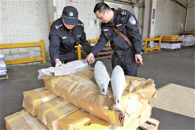 1587691679861679.jpg 菲律賓凍魚進(jìn)口報關(guān)