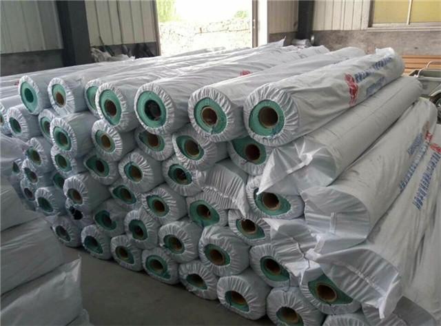 1587865622182477.jpg 防水卷材進口報關(guān)