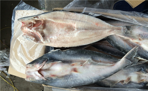 空運海鮮進口報關代理公司 空運海鮮進口報關