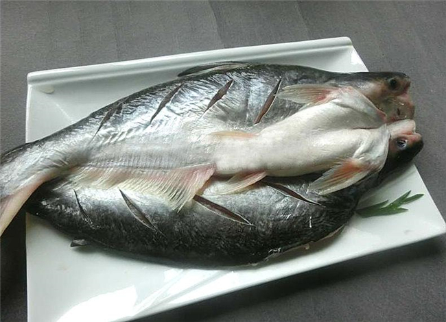 1591415335684666.jpg 冷凍巴沙魚進(jìn)口報(bào)關(guān)