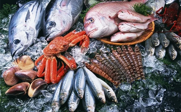 進口水產品報關監(jiān)管條件以及申報要素 進口水產品報關