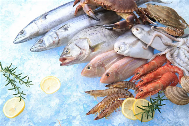 廣州海鮮進口報關進口商所需資質以及流程 廣州海鮮進口報關