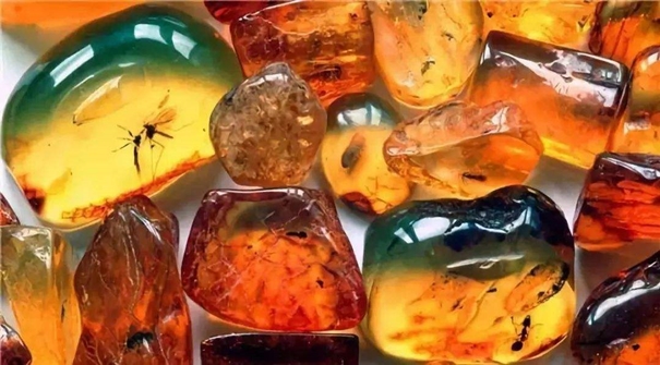 琥珀石進口報關(guān)運輸注意事項 琥珀石進口報關(guān)