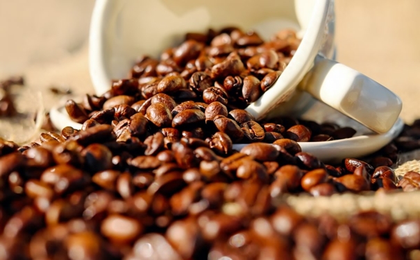 咖啡豆進口報關 加拿大咖啡豆進口報關的流程以及資料是怎樣的