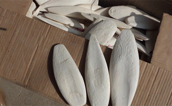 1610076436299675.jpg src=http___img007.hc360.cn_m2_M06_F9_E1_wKhQcVQp6dCEeOFtAAAAAF8woVo125.jpg&refer=http___img007.hc360_副本.jpg