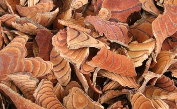 進(jìn)口中藥雞血藤清關(guān)代理 【進(jìn)口中藥雞血藤清關(guān)代理】的流程,一般貿(mào)易進(jìn)口雞血藤