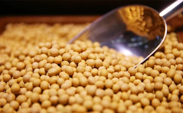 【大豆進口清關代理】的流程,一般貿易進口大豆 大豆進口清關代理