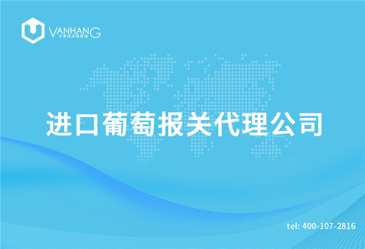 1616149789937795.jpg 進口葡萄報關代理公司_副本.jpg