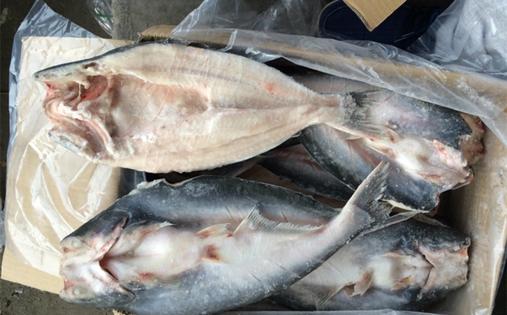 進口巴沙魚清關(guān)代理一點都不難，只要你準備好這些資料