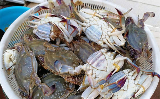 冷凍梭子蟹進口報關 冷凍梭子蟹進口報關的流程手續復雜嗎?