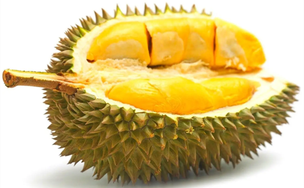 進(jìn)口馬來西亞榴蓮清關(guān)要注意什么呢 進(jìn)口馬來西亞榴蓮清關(guān)