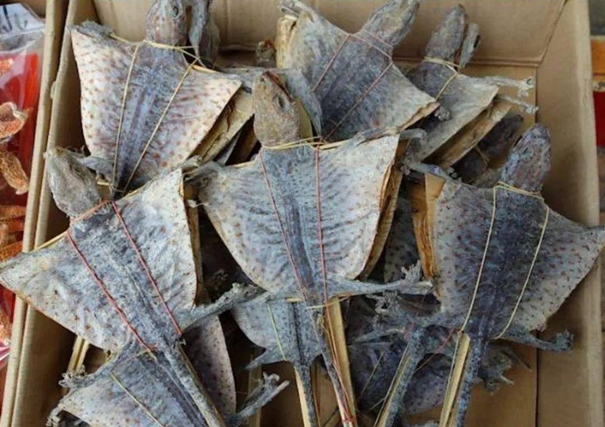 Look!上海港進口蛤蚧代理清關這樣操作 上海港進口蛤蚧代理