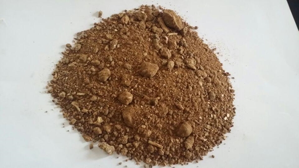 菜籽粕進(jìn)口清關(guān)可以操作的公司有哪些 菜籽粕進(jìn)口清關(guān)