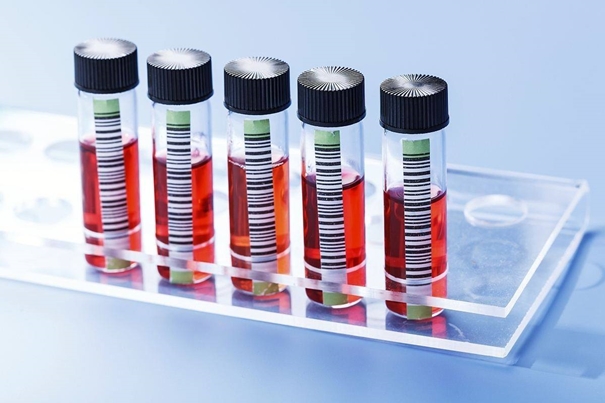 上海生物制品進口清關(guān)公司g 生物制品進口報關(guān)_副本.jpg