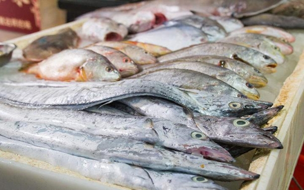 1629369857999060.jpg 青島進(jìn)口水產(chǎn)品報(bào)關(guān)