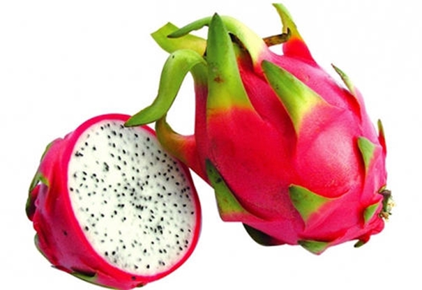 1631527365245132.jpg 火龍果進口清關(guān)代理_副本.jpg