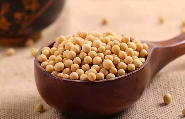 1635500809646155.jpg 青島港大豆清關_副本.jpg