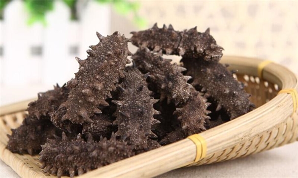 1635931669250507.jpg 干海參進口報關_副本.jpg