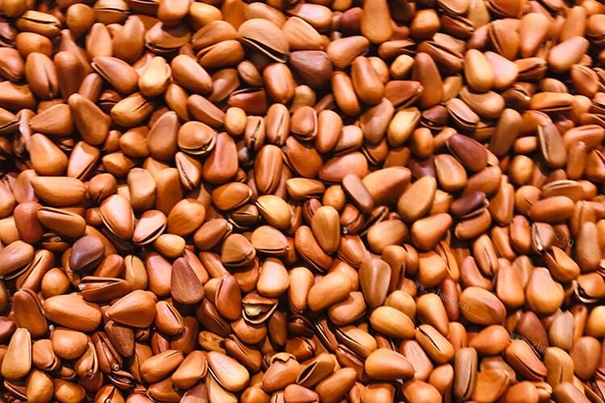 1638442810558980.jpg 進(jìn)口松子報關(guān)公司有經(jīng)驗的松子報關(guān)代理_副本.jpg