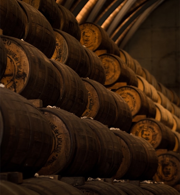 1642154218318209.jpg 智利葡萄酒進(jìn)口清關(guān)代理_副本.jpg