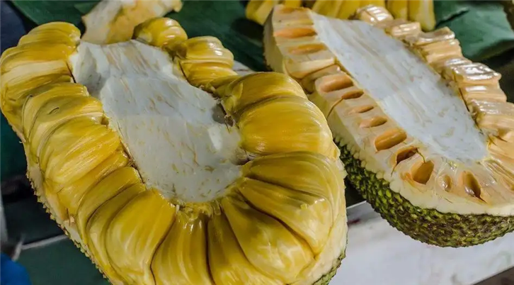 1648035250383097.png 菠蘿蜜進(jìn)口清關(guān)代理_副本.png