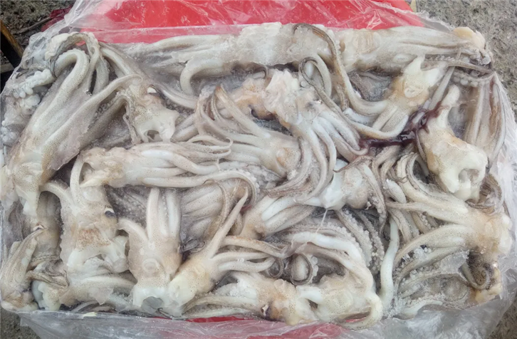 1651143644790410.png 冷凍魷魚進(jìn)口報(bào)關(guān)_副本.png