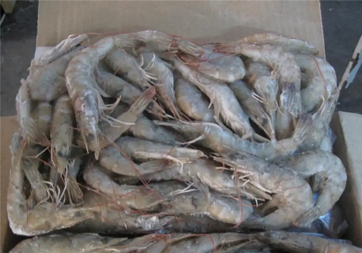 1652089388290804.png 南美冷凍蝦進口清關.png