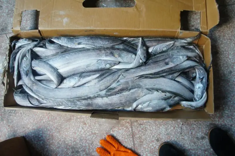 1652958275847590.png 青島凍品進口清關公司.png