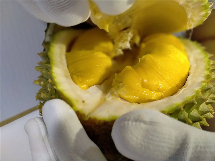 1654767037474673.png 進(jìn)口馬來西亞貓山王榴蓮清關(guān).png