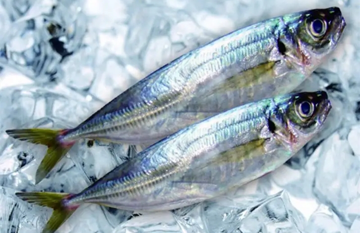 1655116797711603.jpg 廈門港冷凍海鮮報(bào)關(guān)_副本.jpg