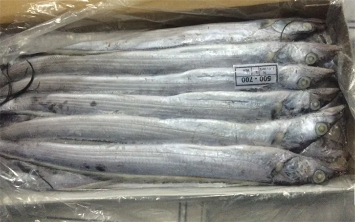 1655375207109224.png 上海冷凍帶魚進口報關公司.png