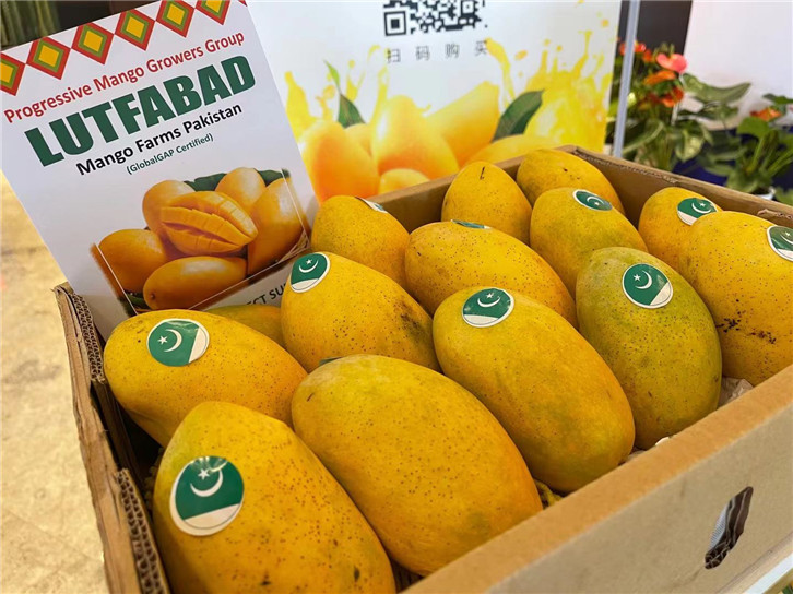 1655980302555976.jpg 進(jìn)口菲律賓芒果報(bào)關(guān)公司.jpg