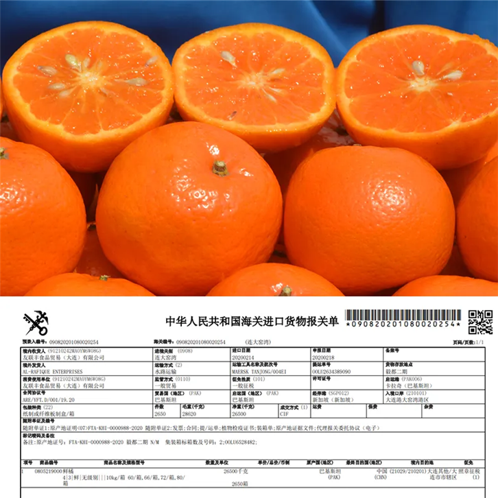 1656408778768531.png 進口巴基斯坦柑橘報關公司 (2).png