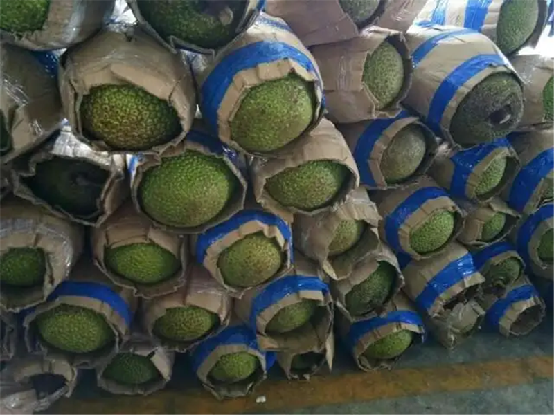 1658743197397459.png 進(jìn)口越南菠蘿蜜清關(guān).png