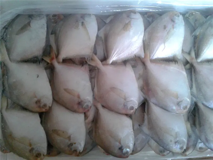 1670237182247313.png 冷凍白鯧魚進(jìn)口報(bào)關(guān).png