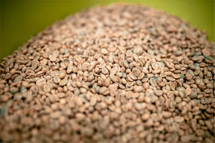 1675412015108923.png 咖啡生豆進(jìn)口關(guān)稅.png