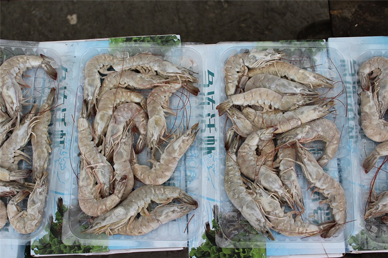 1676449473789534.png 冷凍蝦進口報關代理公司.png