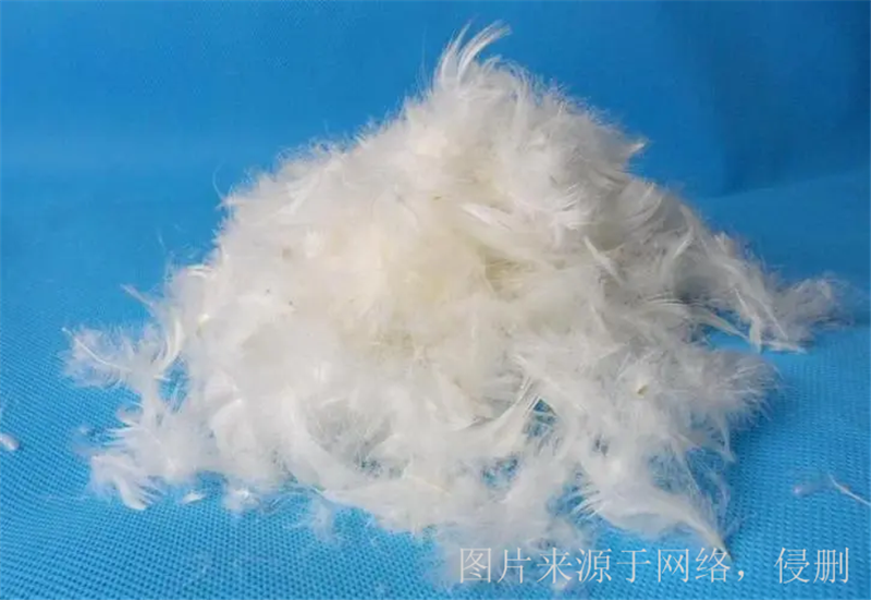 1676974503898014.png 廣西貴港鴨毛進口報關(guān).png