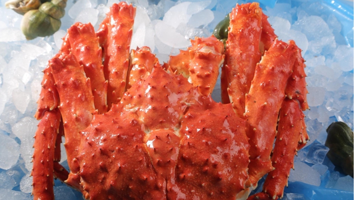 上海進口挪威帝王蟹報關資料 上海進口挪威帝王蟹報關資料