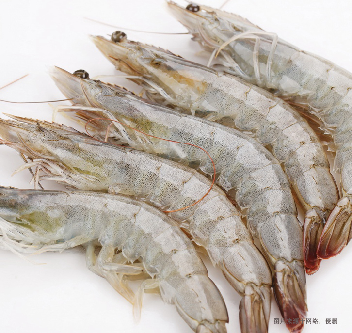 越南冷凍蝦進口清關流程 越南冷凍蝦進口清關流程