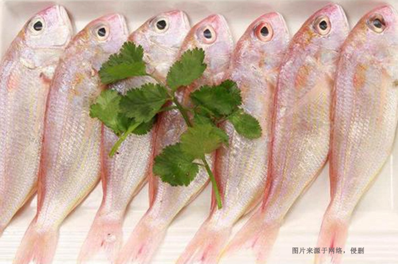 越南冷凍魚進(jìn)口清關(guān)資料 越南冷凍魚進(jìn)口清關(guān)資料