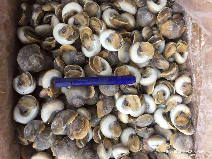 廣州南沙港進口印度水產(chǎn)品報關資料 廣州南沙港進口印度水產(chǎn)品報關資料