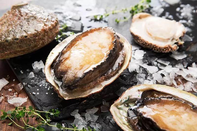 澳大利亞鮑魚進口報關流程 澳大利亞鮑魚進口報關流程